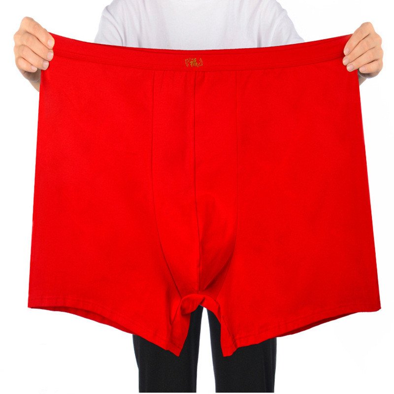 Sous-vêtement en pur coton pou - Boxer Brief Pack Cotton avis et prix